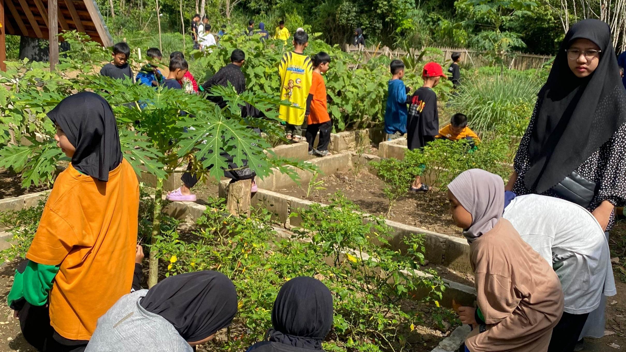 Anak-anak SD Alam Muhammadiyah Martapura Belajar Cinta Lingkungan lewat GreenLab